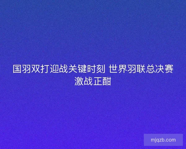 国羽双打迎战关键时刻 世界羽联总决赛激战正酣