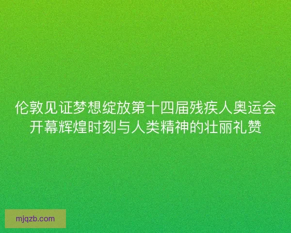 伦敦见证梦想绽放第十四届残疾人奥运会开幕辉煌时刻与人类精神的壮丽礼赞